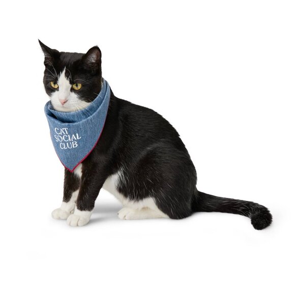 NEW Cat Social Club" Blue Twill Reversible Cat Bandana - The Cuddle Collab - Picture 1 of 5